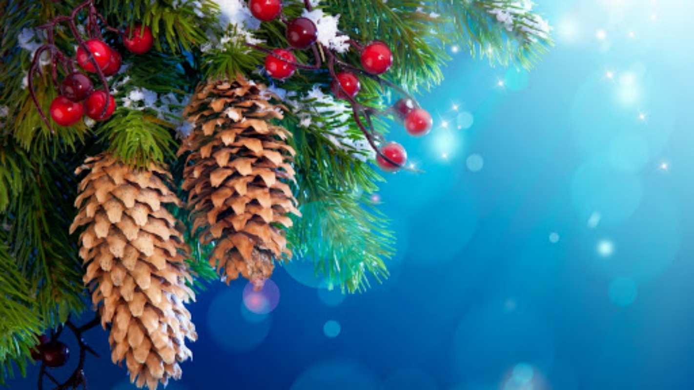 Открытка Елка и шишки с рябиной  Новый год, ель, шишки  Happy New Year 