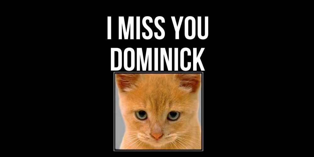 Greetings card с именем, Dominick I miss you открытки рыжий котенок скучает по тебе Greetings with text for free download 