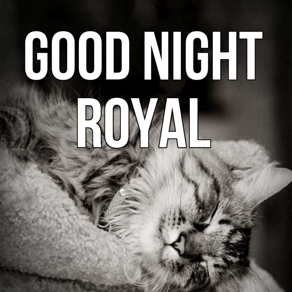Greetings card с именем, Royal Good night котярик пушистый Greetings with text for free download 