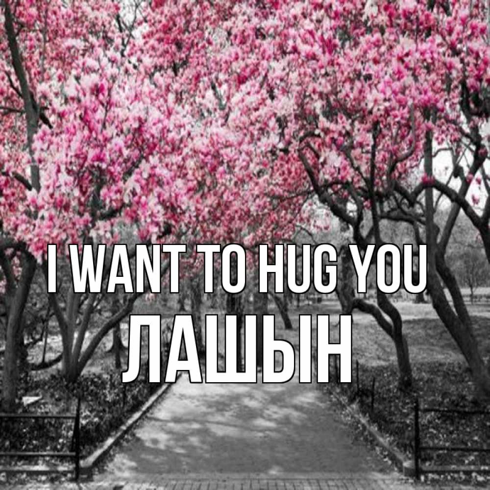 Greetings card с именем, ЛАШЫН I want to hug you обработанное фото Greetings with text for free download 