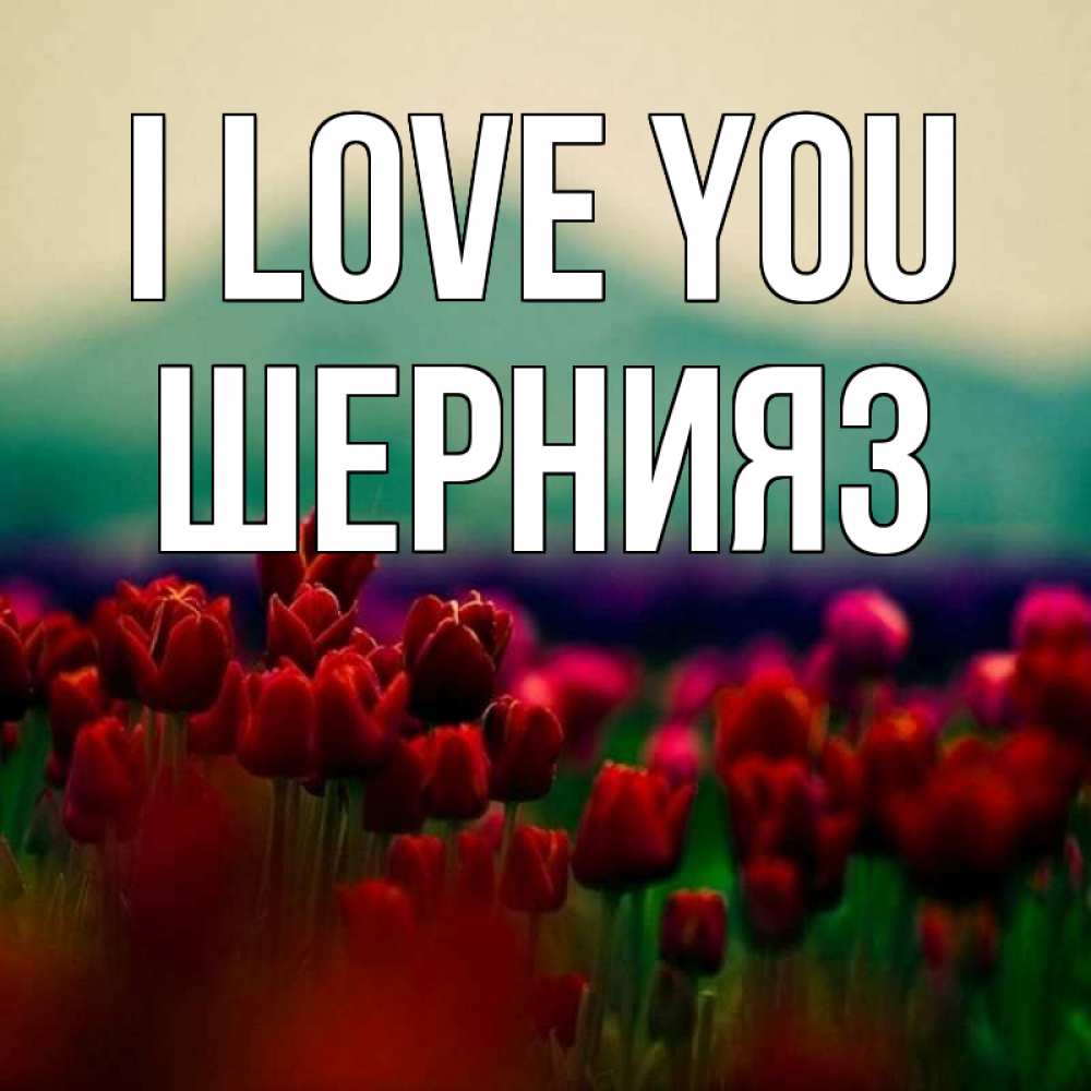 Greetings card с именем, ШЕРНИЯЗ I love you тюльпаны 4 Greetings with text for free download 