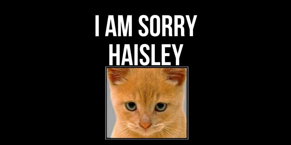 Greetings card с именем, Haisley I am sorry рыжий грустный кот просит прощения Greetings with text for free download 