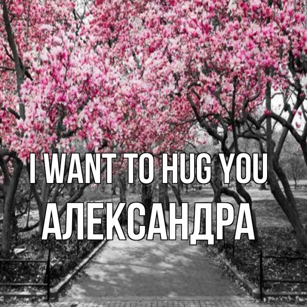 Greetings card с именем, Александра I want to hug you обработанное фото Greetings with text for free download 