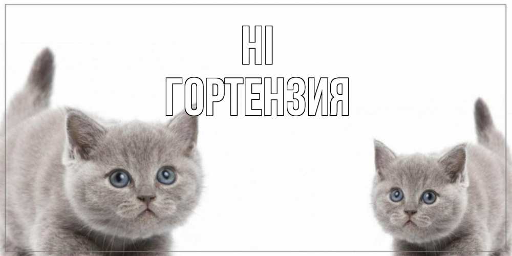 Greetings card с именем, Гортензия Hi коты Greetings with text for free download 