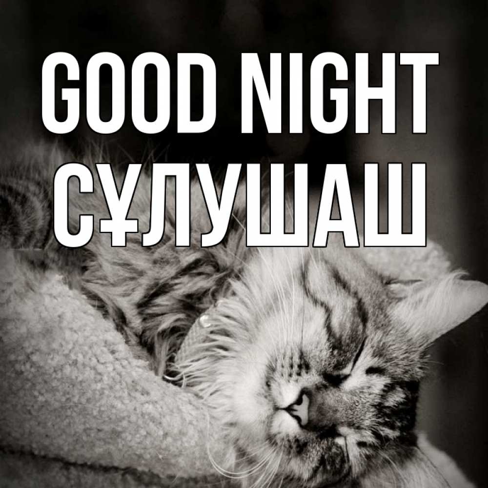 Greetings card с именем, СҰЛУШАШ Good night котярик пушистый Greetings with text for free download 