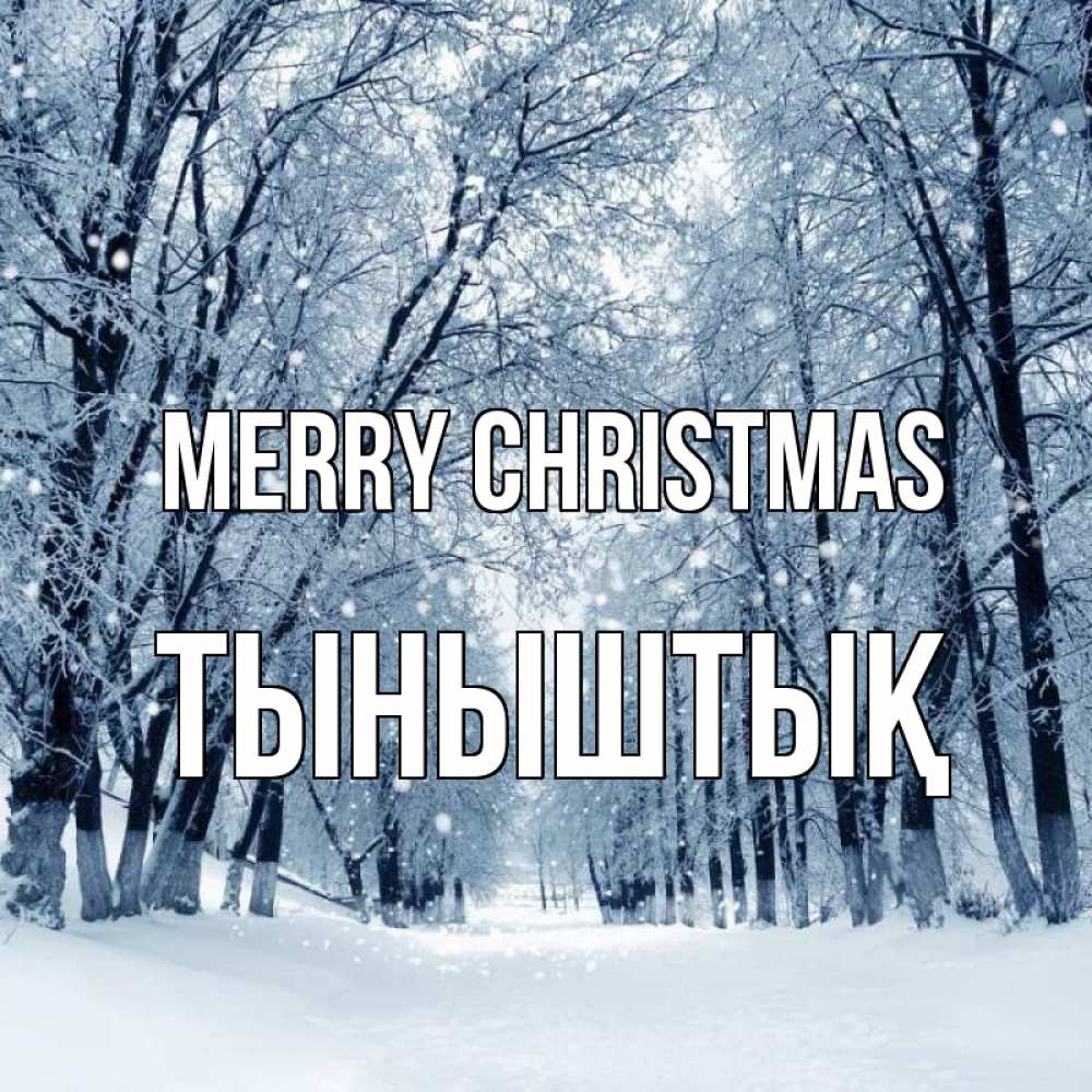 Greetings card с именем, ТЫНЫШТЫҚ Merry Christmas снег, лес, парк Greetings with text for free download 