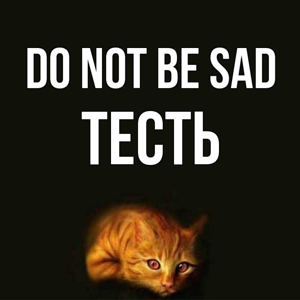 Greetings card с именем, Тесть Do not be sad лежащий кот в темноте Greetings with text for free download 