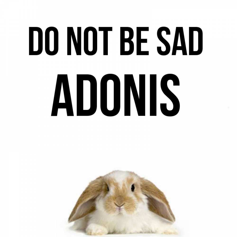 Greetings card с именем, Adonis Do not be sad коричнево белый заяц с большими ушками Greetings with text for free download 