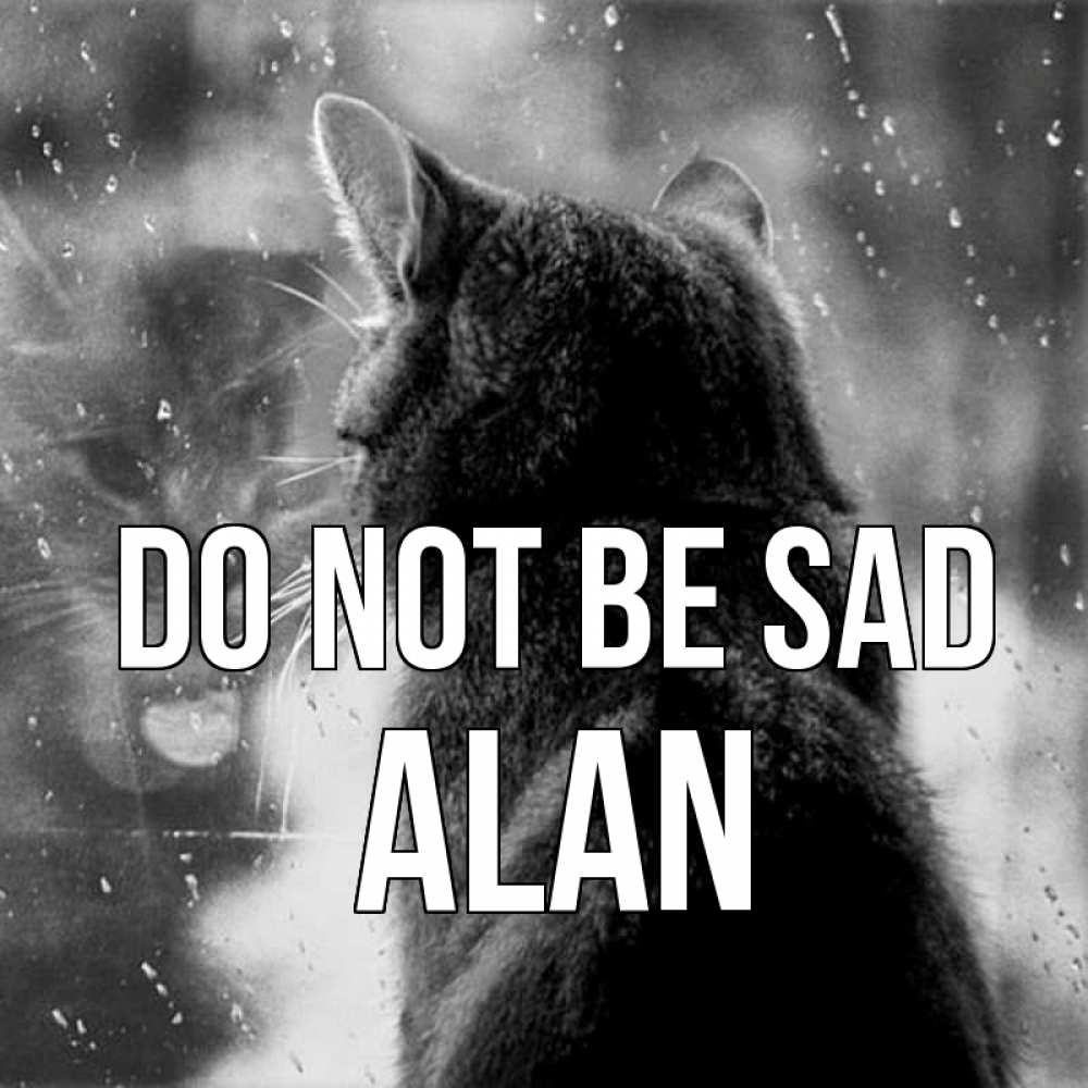 Greetings card с именем, Alan Do not be sad отражение кота 1 Greetings with text for free download 