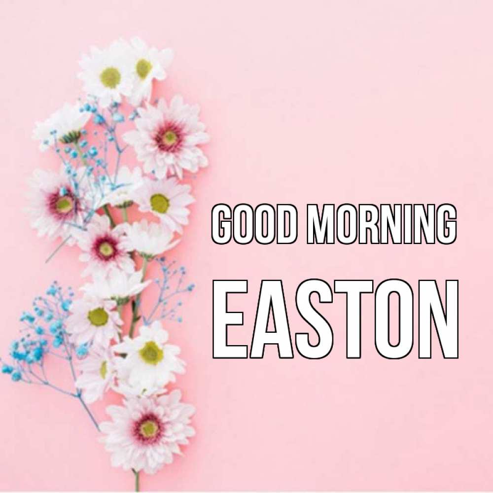 Greetings card с именем, Easton Good morning цветы с подписью Greetings with text for free download 