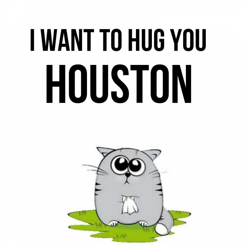 Greetings card с именем, Houston I want to hug you котик теребит платочек сидя на травке Greetings with text for free download 