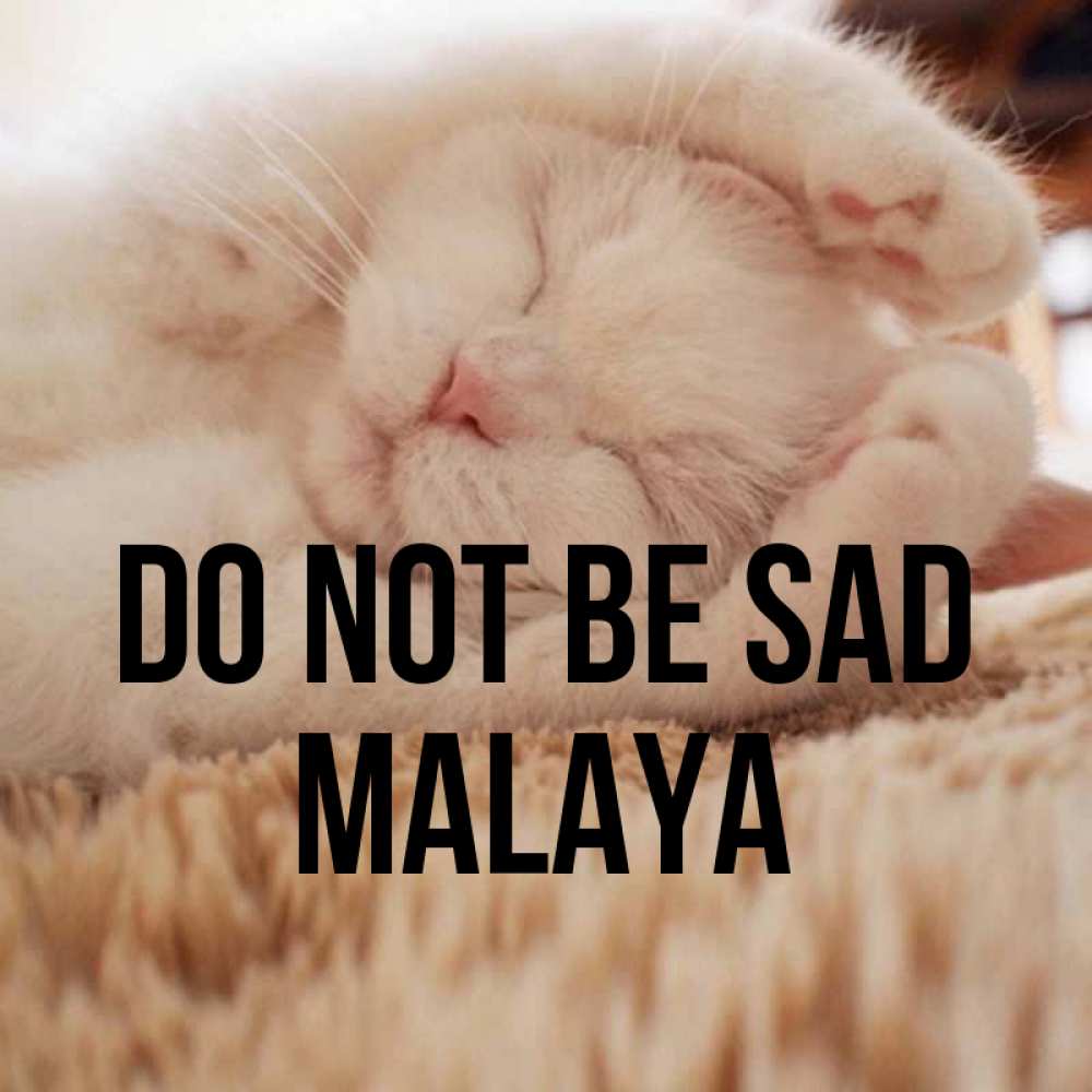 Greetings card с именем, Malaya Do not be sad Котенок спит Greetings with text for free download 