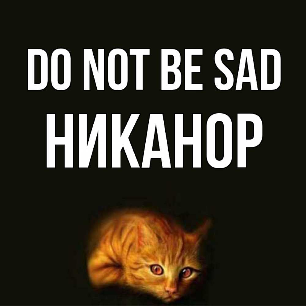 Greetings card с именем, Никанор Do not be sad лежащий кот в темноте Greetings with text for free download 