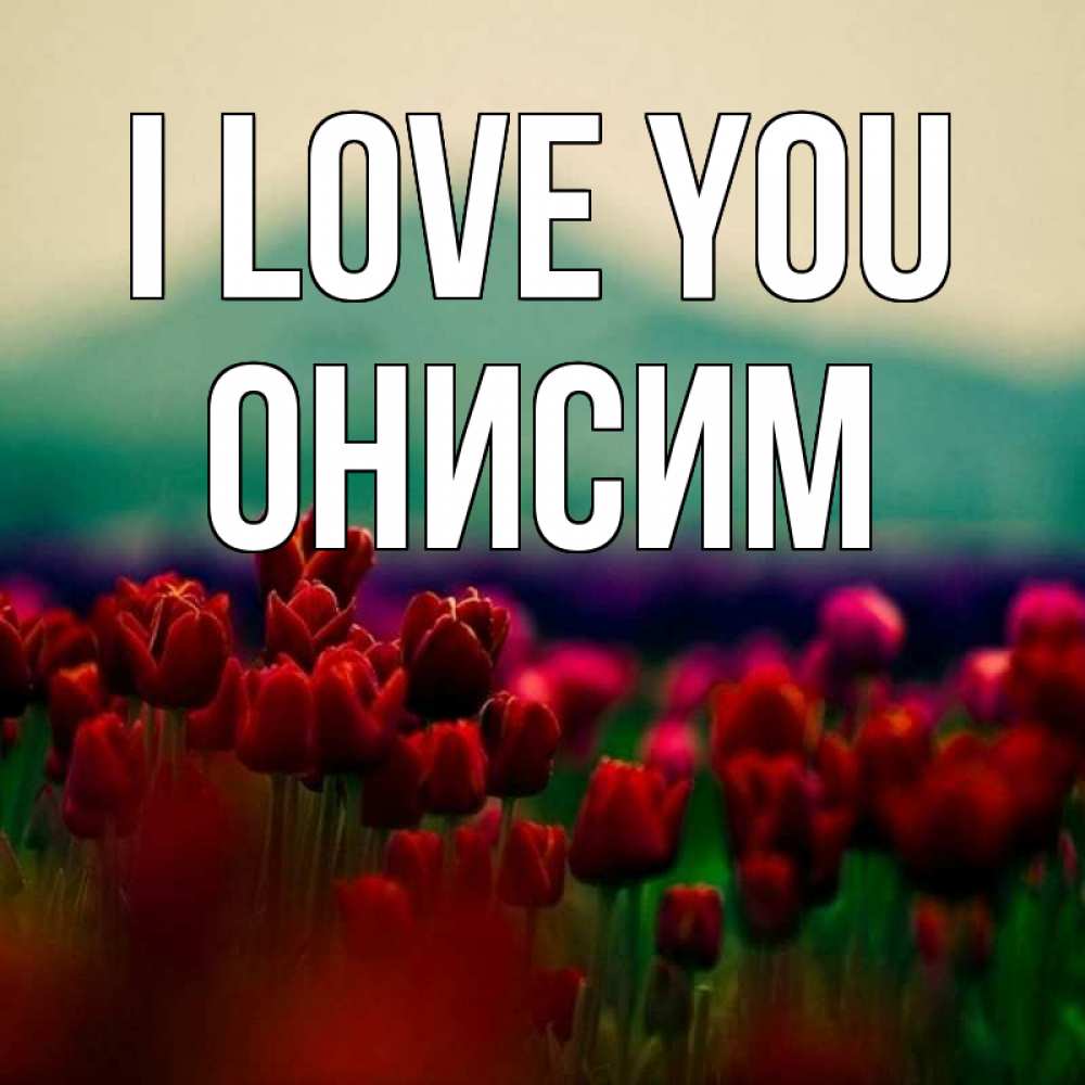 Greetings card с именем, Онисим I love you тюльпаны 4 Greetings with text for free download 