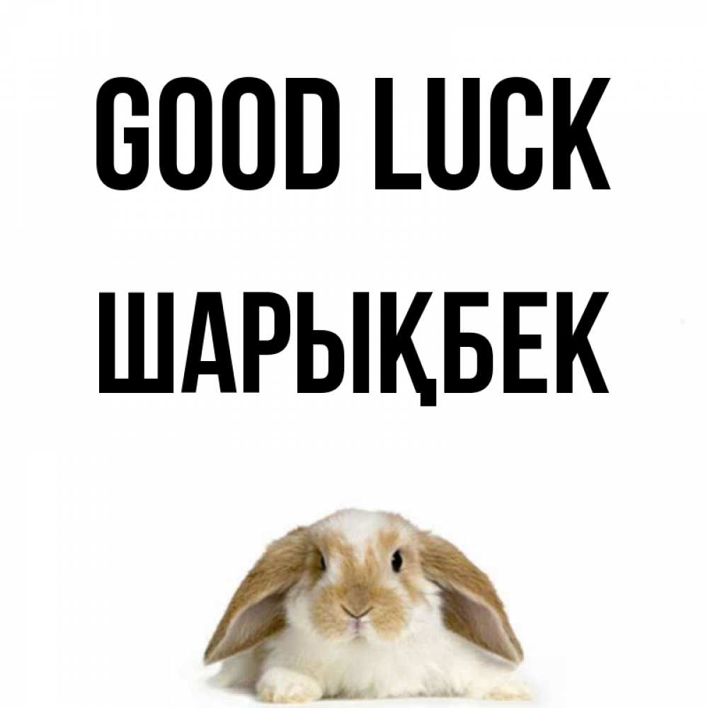 Greetings card с именем, ШАРЫҚБЕК Good luck открытки с произвольным текстом который можно вставить в открытку и создать ее самостоятельно бесплатно онлайн Greetings with text for free download 