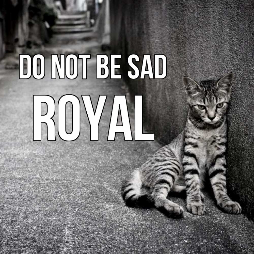 Greetings card с именем, Royal Do not be sad скучающий котик Greetings with text for free download 