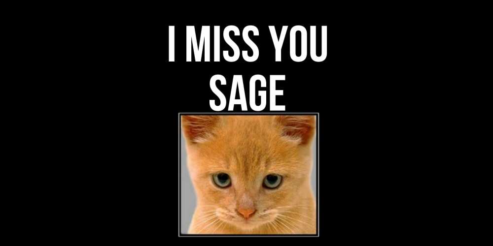 Greetings card с именем, Sage I miss you открытки рыжий котенок скучает по тебе Greetings with text for free download 