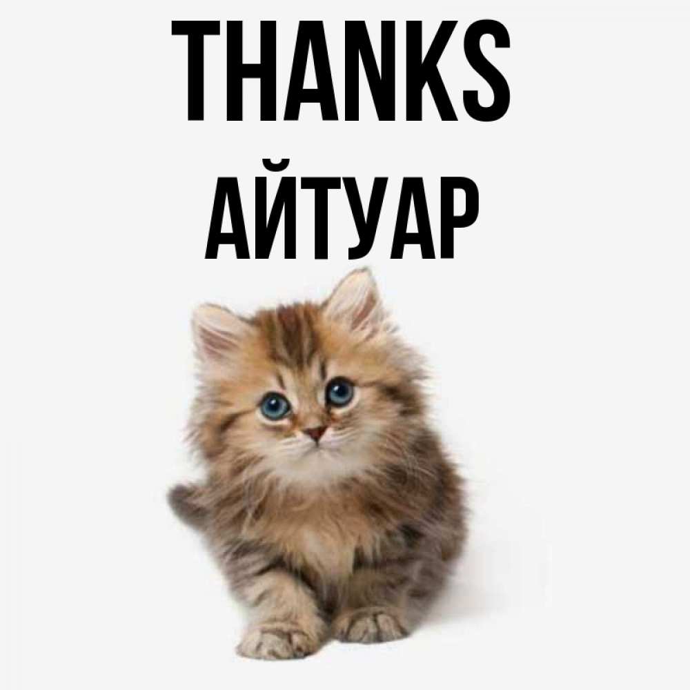 Greetings card с именем, Айтуар Thanks пушистый котик Greetings with text for free download 