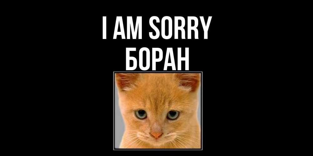 Greetings card с именем, Боран I am sorry рыжий грустный кот просит прощения Greetings with text for free download 