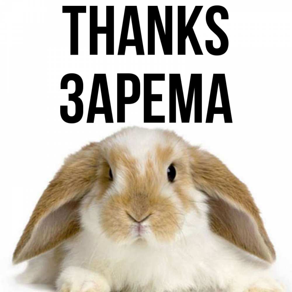 Greetings card с именем, ЗАРЕМА Thanks коричнево белый заяц Greetings with text for free download 