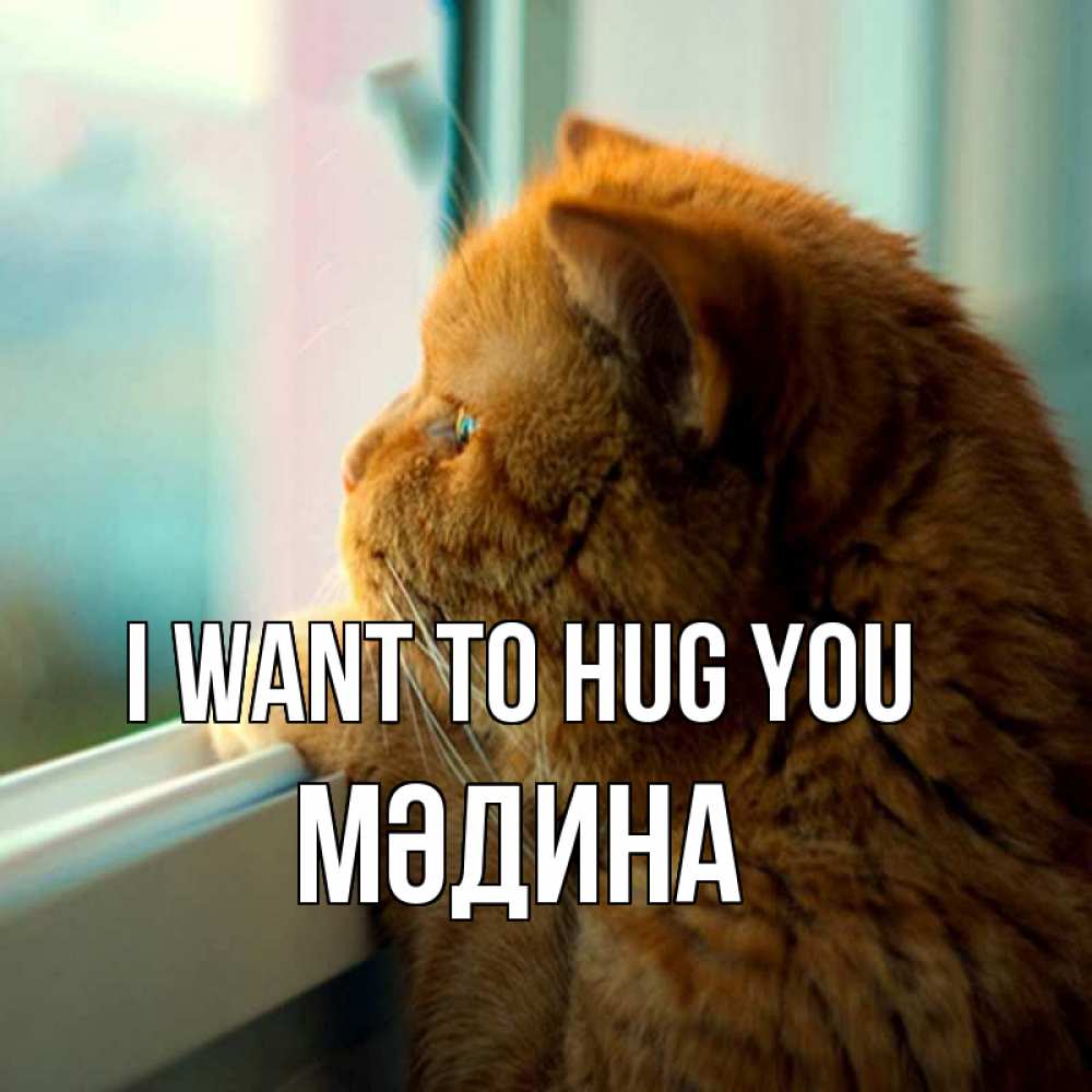 Greetings card с именем, МӘДИНА I want to hug you большой огромный рыжий котяра Greetings with text for free download 
