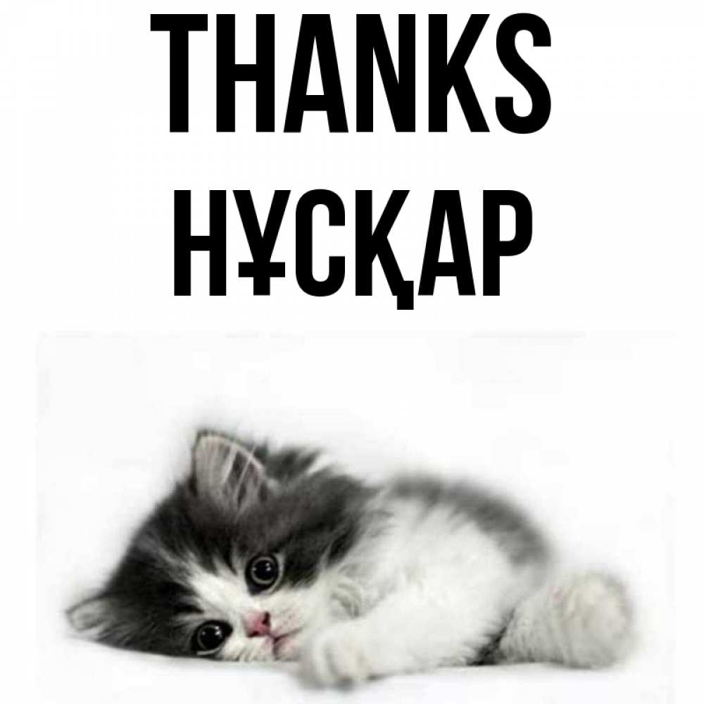 Greetings card с именем, НҰСҚАР Thanks черный и белый кот Greetings with text for free download 