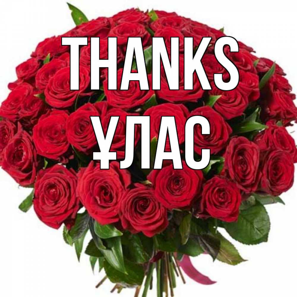 Greetings card с именем, ҰЛАС Thanks букет красных роз Greetings with text for free download 