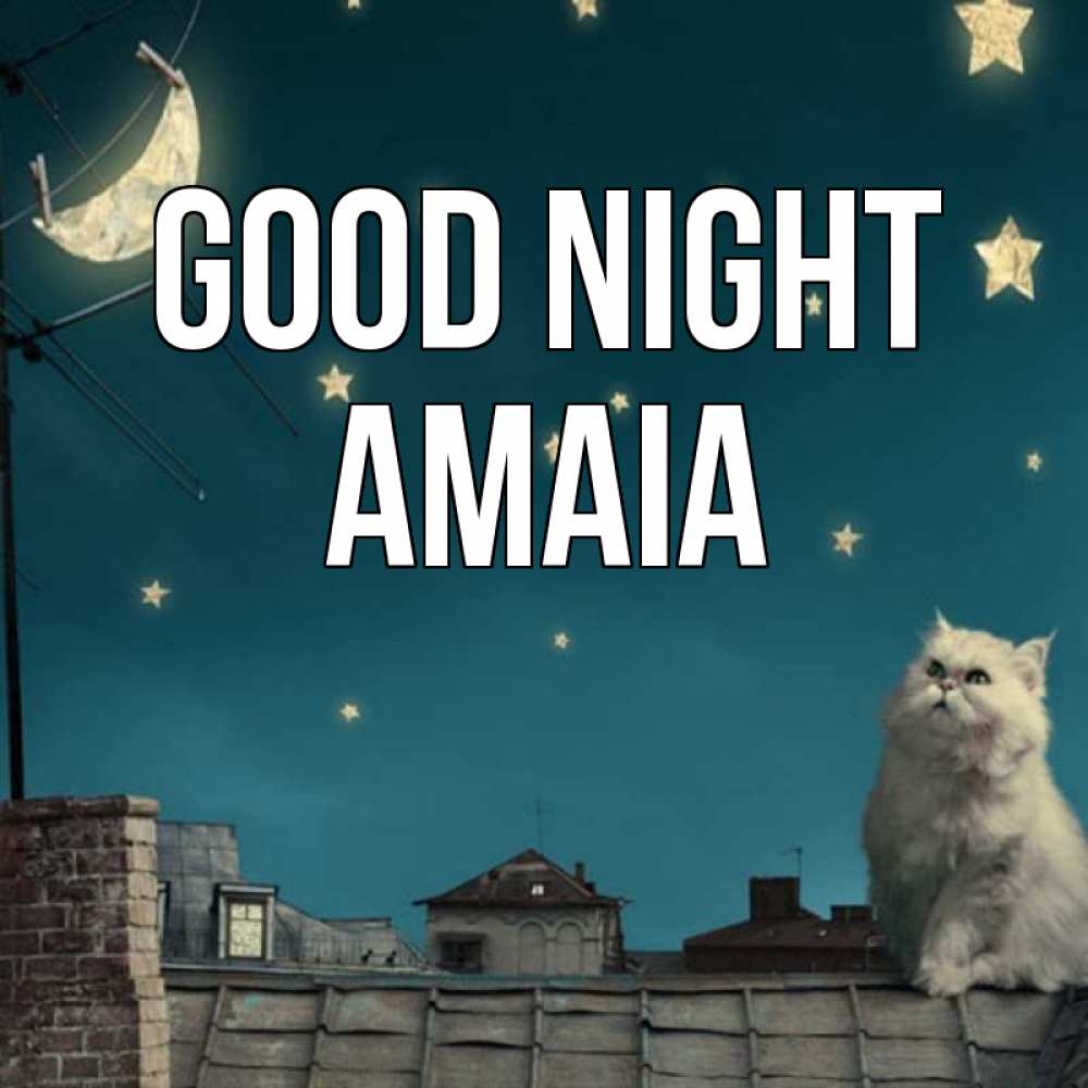 Greetings card с именем, Amaia Good night белый кот сидит на крыше Greetings with text for free download 