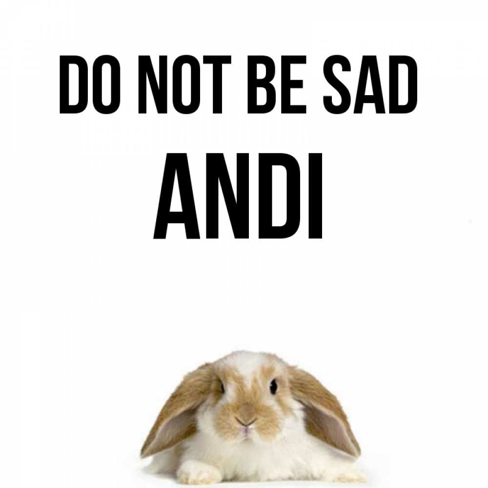 Greetings card с именем, Andi Do not be sad коричнево белый заяц с большими ушками Greetings with text for free download 