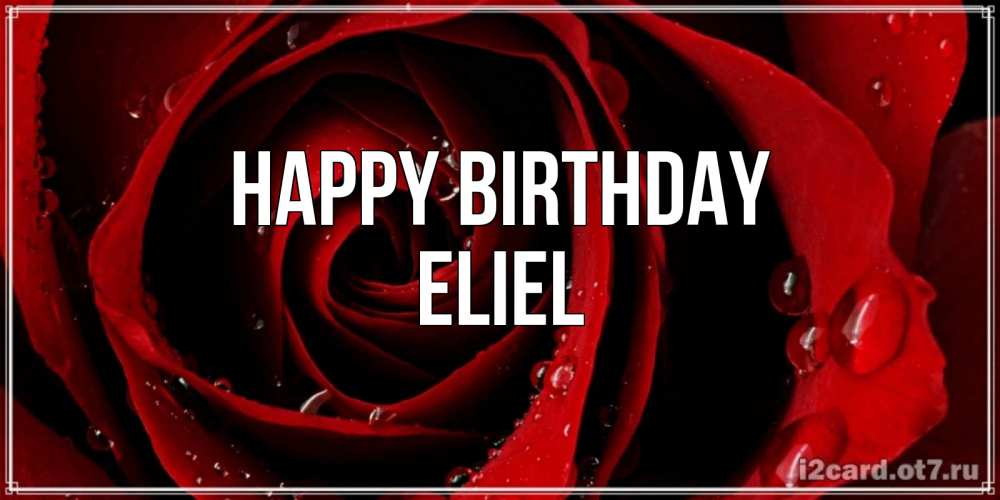 Greetings card с именем, Eliel Happy Birthday крупная бордовая роза Greetings with text for free download 
