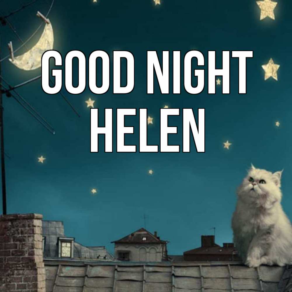 Greetings card с именем, Helen Good night белый кот сидит на крыше Greetings with text for free download 