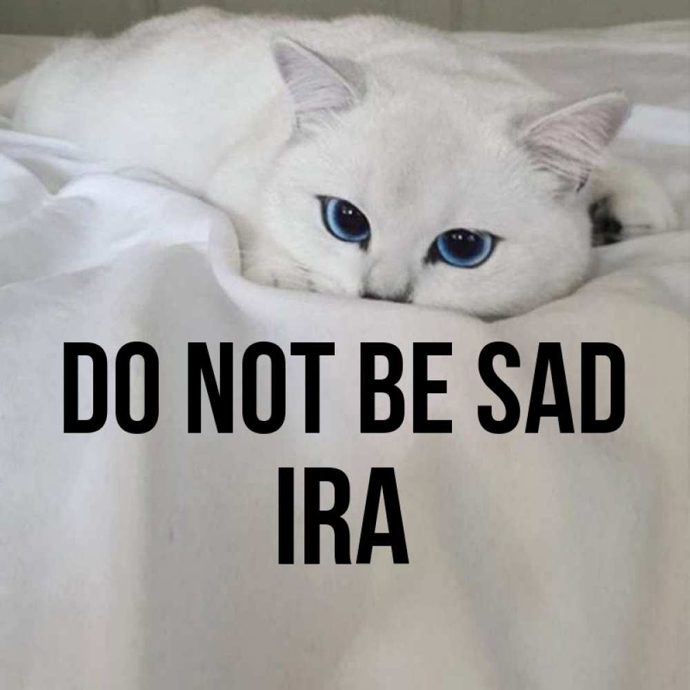 Greetings card с именем, Ira Do not be sad Голубоглазая кошка Greetings with text for free download 