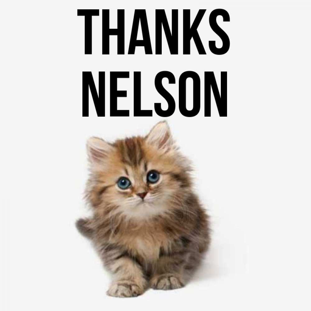 Greetings card с именем, Nelson Thanks пушистый котик Greetings with text for free download 