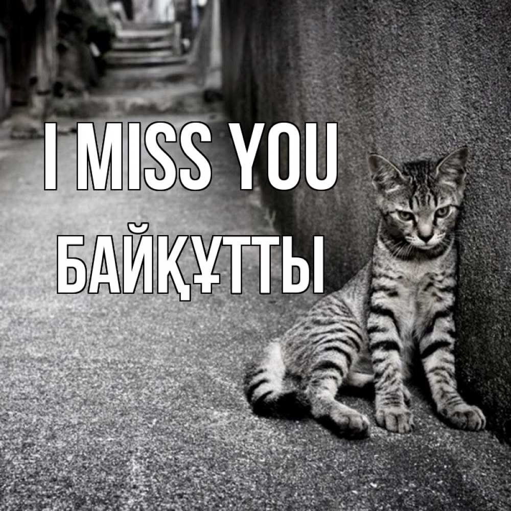 Greetings card с именем, Байқұтты I miss you одиноко котику Greetings with text for free download 