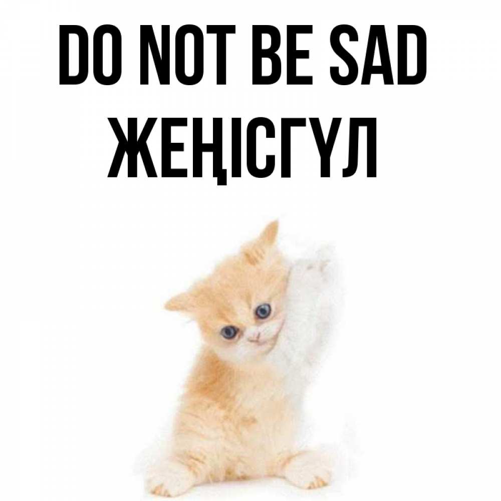 Greetings card с именем, ЖЕҢІСГҮЛ Do not be sad просящий кот Greetings with text for free download 