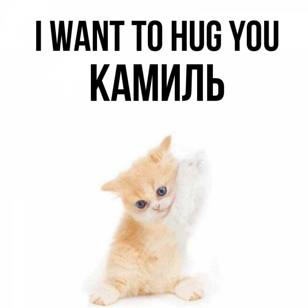 Greetings card с именем, Камиль I want to hug you я хочу очень скорее обнимаешек Greetings with text for free download 