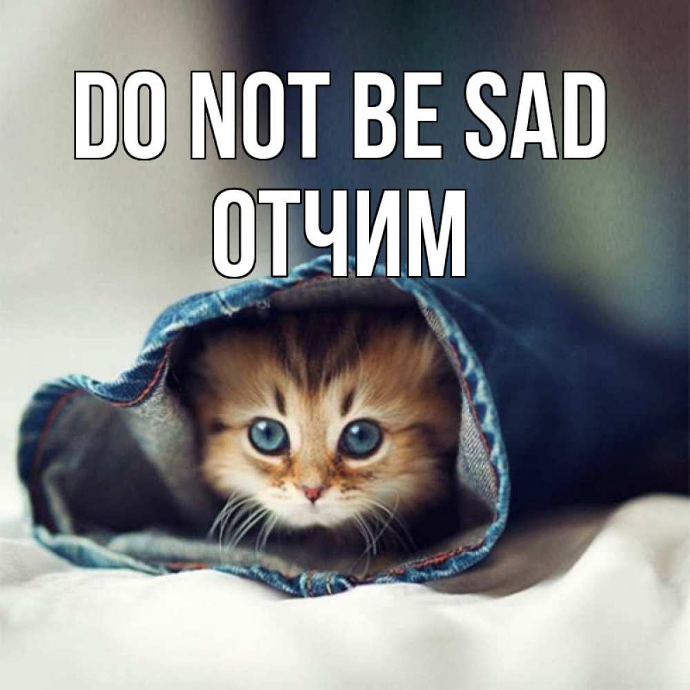 Greetings card с именем, Отчим Do not be sad кот в одежде Greetings with text for free download 