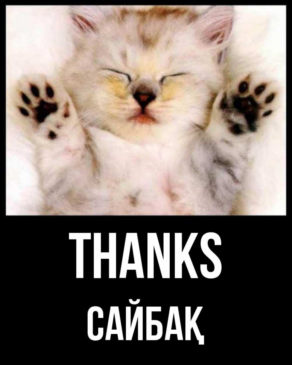Greetings card с именем, САЙБАҚ Thanks маленький котенок Greetings with text for free download 