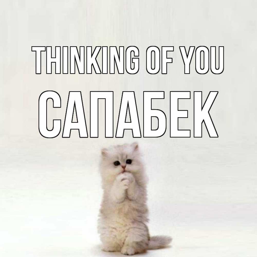 Greetings card с именем, САПАБЕК Thinking of you кот стоит на задних лапах Greetings with text for free download 