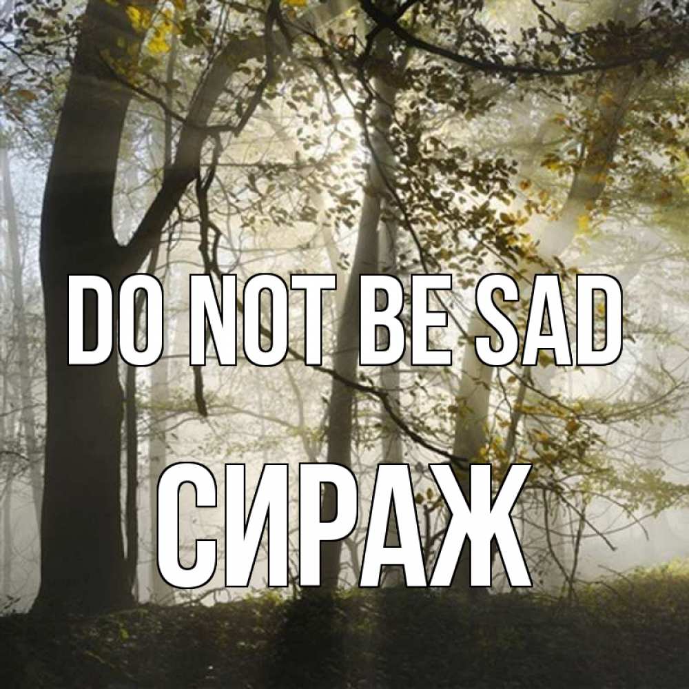 Greetings card с именем, СИРАЖ Do not be sad лес и свет Greetings with text for free download 