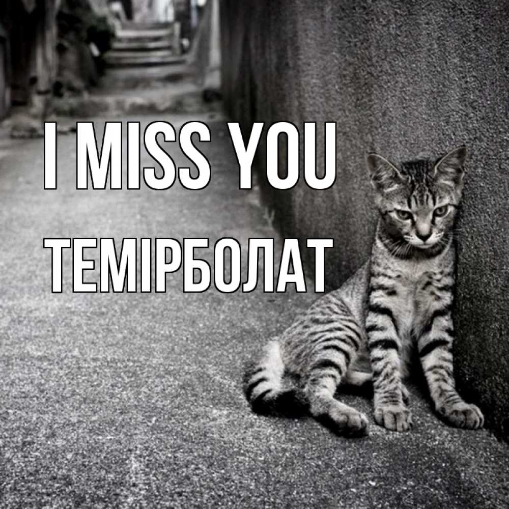 Greetings card с именем, ТЕМІРБОЛАТ I miss you одиноко котику Greetings with text for free download 