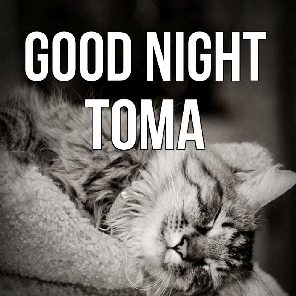 Greetings card с именем, Тома Good night котярик пушистый Greetings with text for free download 