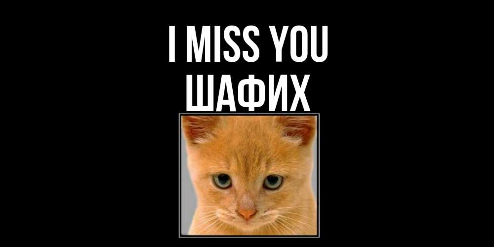 Greetings card с именем, ШАФИХ I miss you открытки рыжий котенок скучает по тебе Greetings with text for free download 