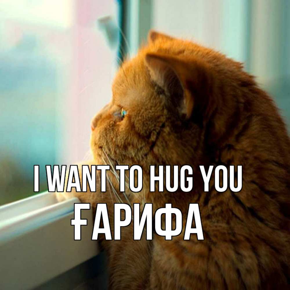 Greetings card с именем, ҒАРИФА I want to hug you большой огромный рыжий котяра Greetings with text for free download 
