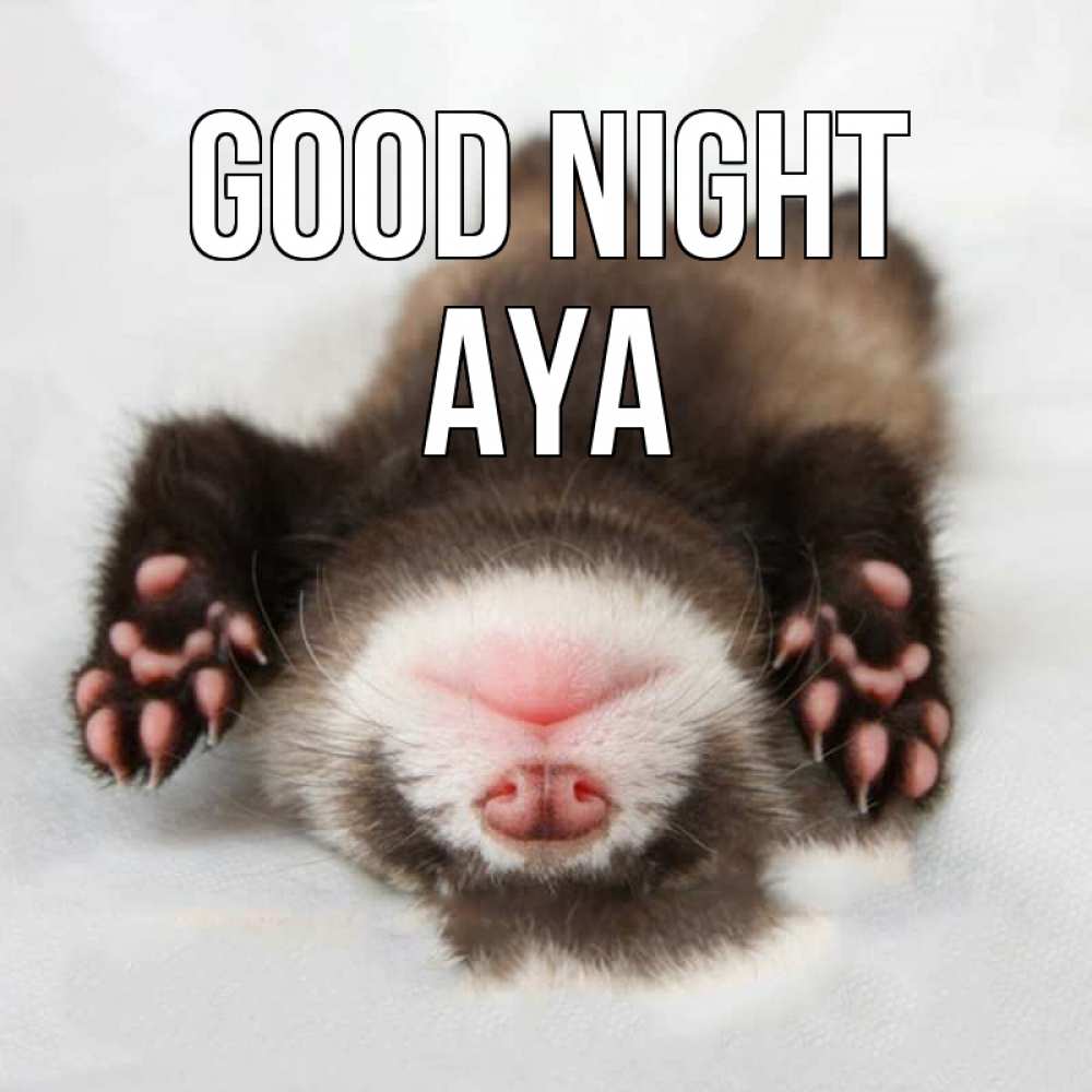 Greetings card с именем, Aya Good night зверек Greetings with text for free download 