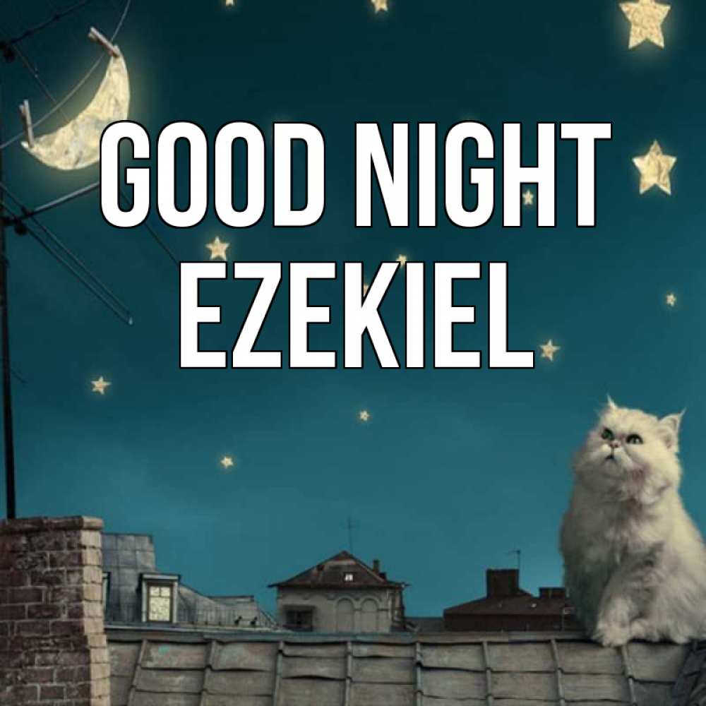 Greetings card с именем, Ezekiel Good night белый кот сидит на крыше Greetings with text for free download 