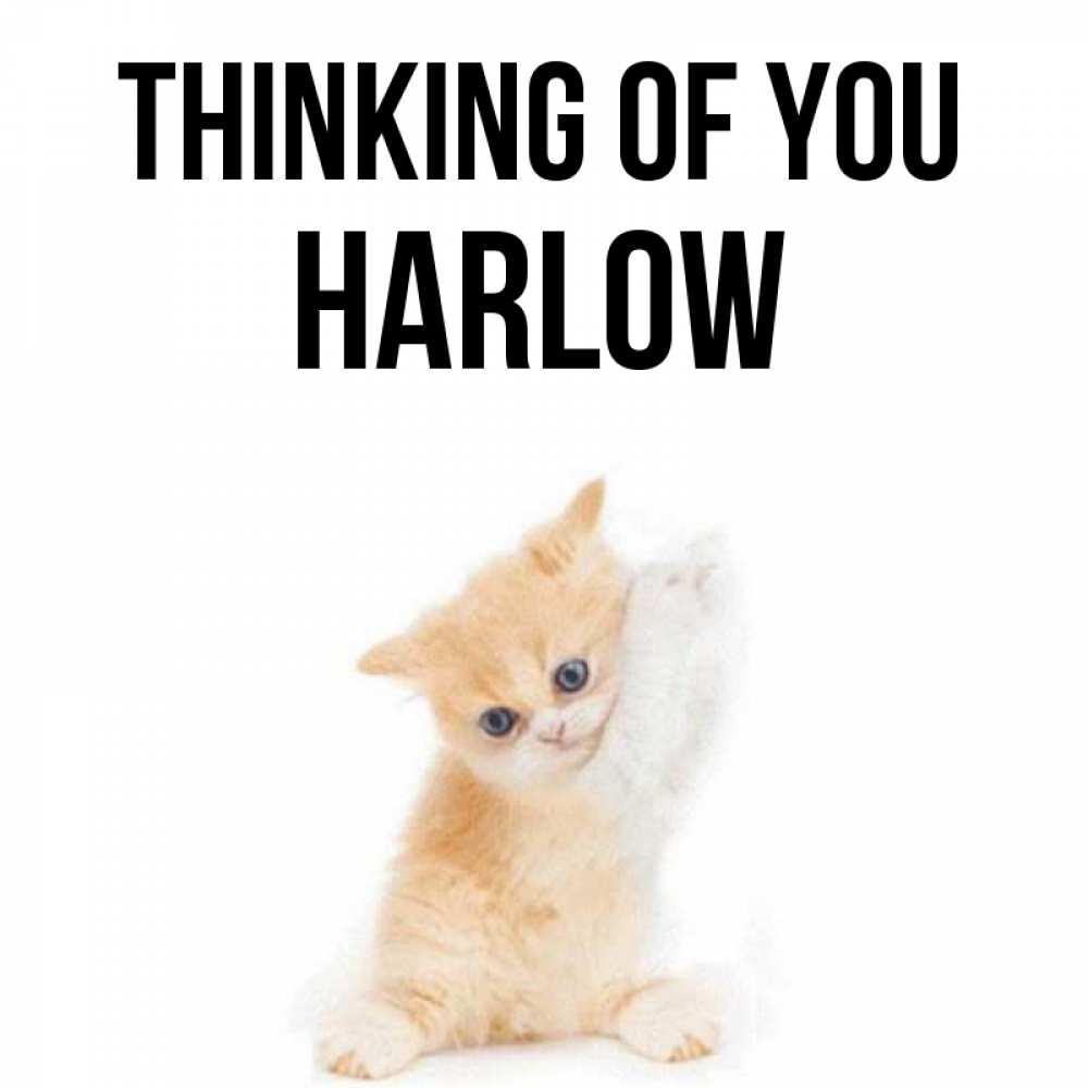Greetings card с именем, Harlow Thinking of you зверушки и милота Greetings with text for free download 