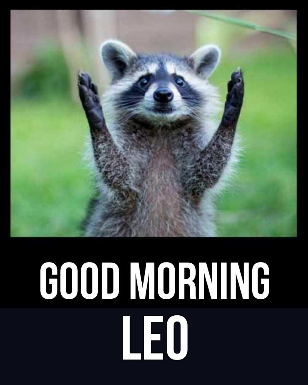 Greetings card с именем, Leo Good morning хорошее настроение утречком Greetings with text for free download 
