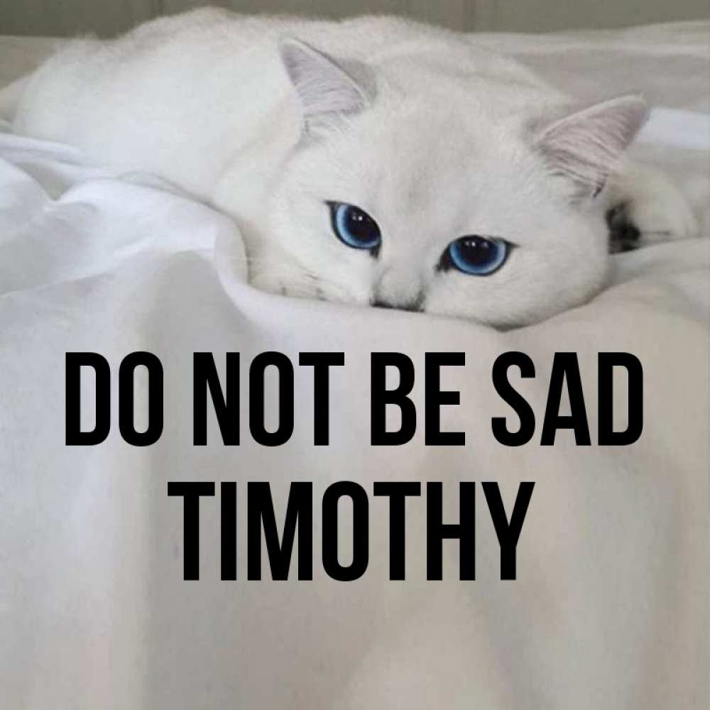 Greetings card с именем, Timothy Do not be sad Голубоглазая кошка Greetings with text for free download 