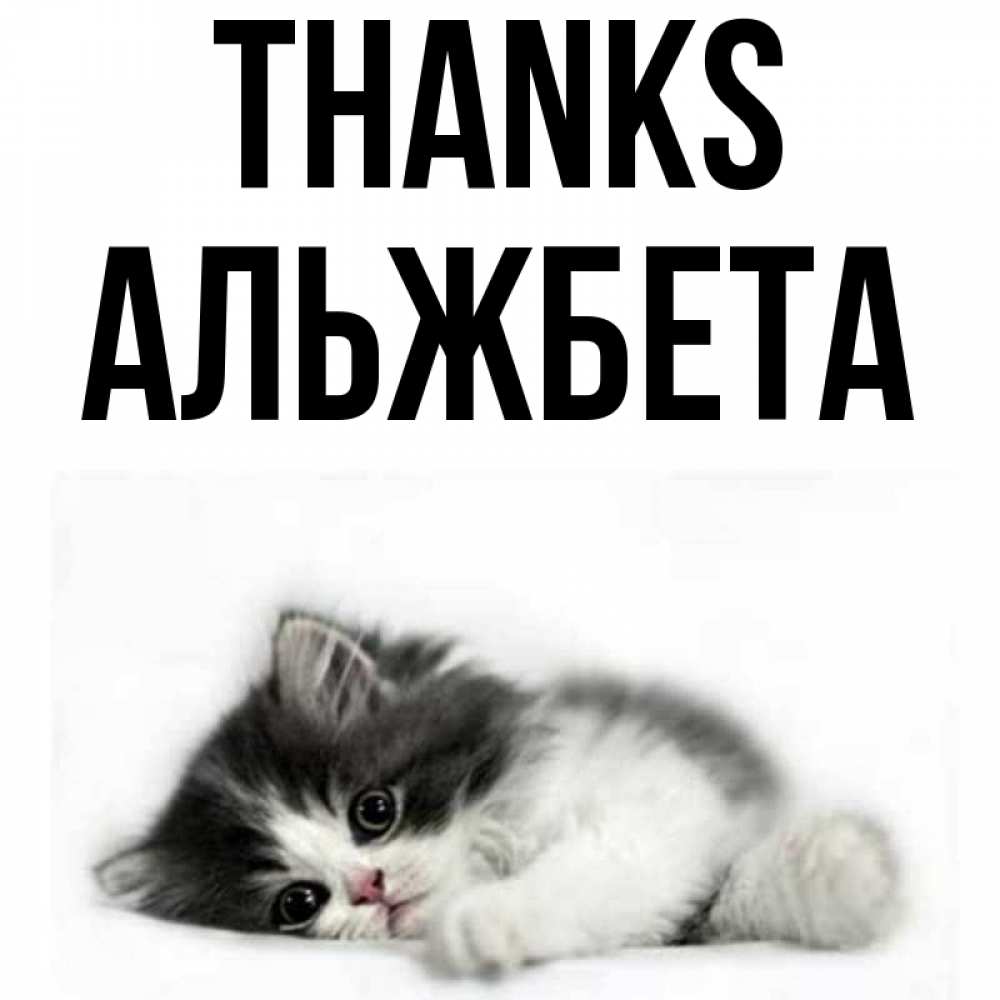 Greetings card с именем, Альжбета Thanks черный и белый кот Greetings with text for free download 